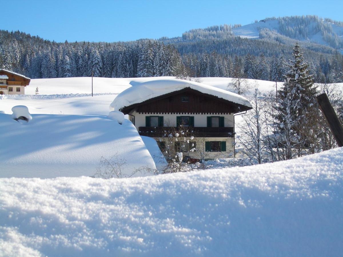 Haus Ortner Apartment Russbach am Pass Gschuett Exterior photo